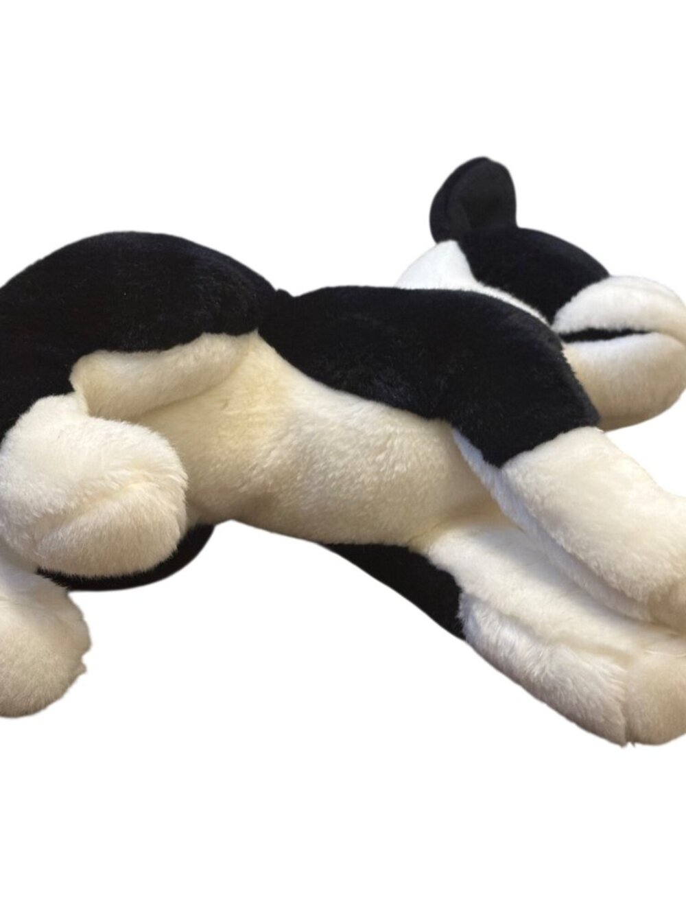 Douglas Cuddle Toy Willem Boston Terrier 2039 16” Rare Retired - Eye/Nose - Picture 10 of 10